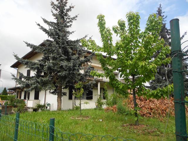 Vedi dettaglio